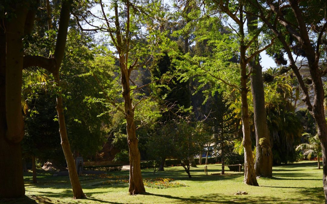 Parque Quinta Vergara: Un imperdible en el centro de Viña