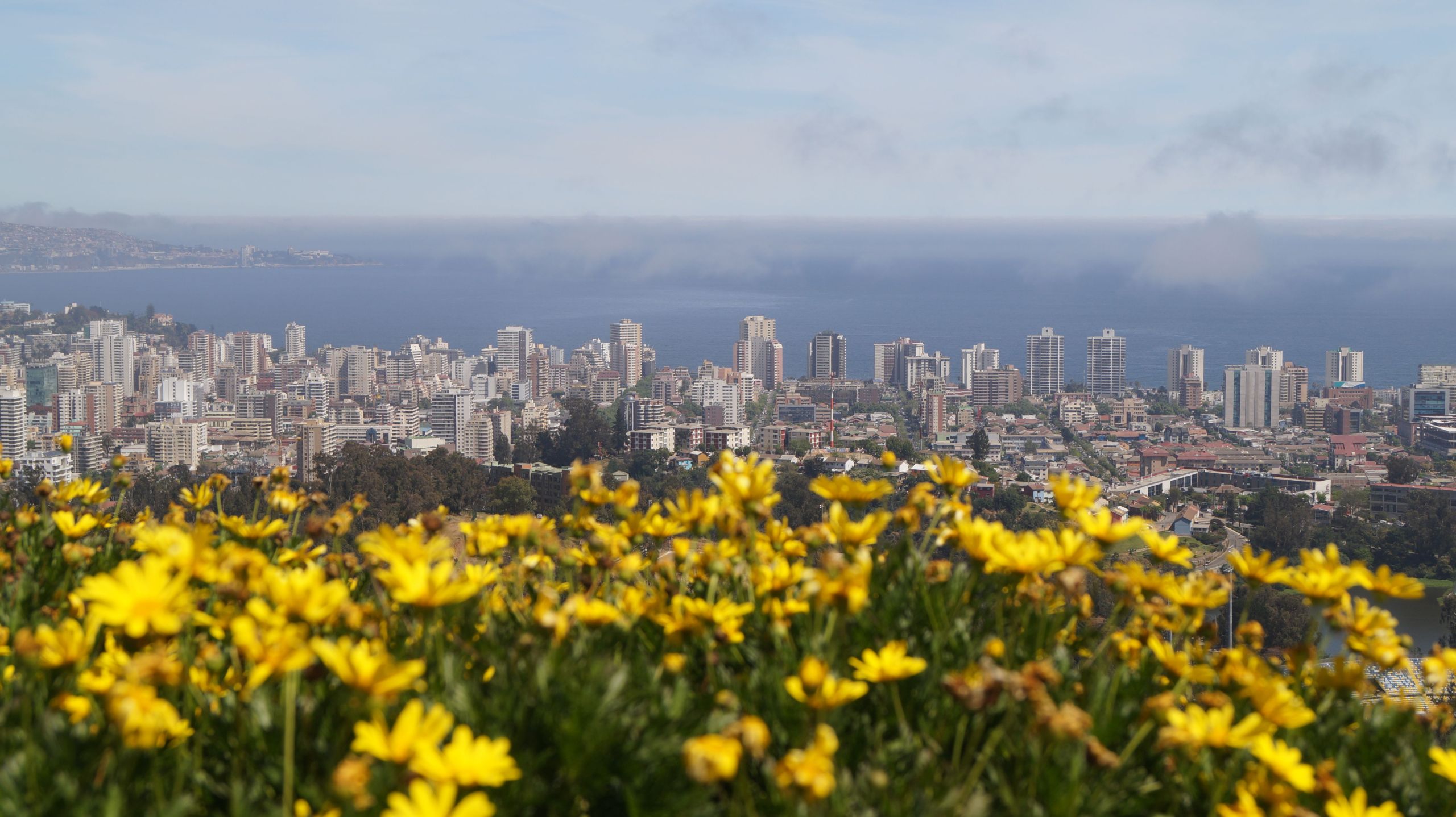 Miradores de Viña del Mar: vistas imperdibles de la ciudad
