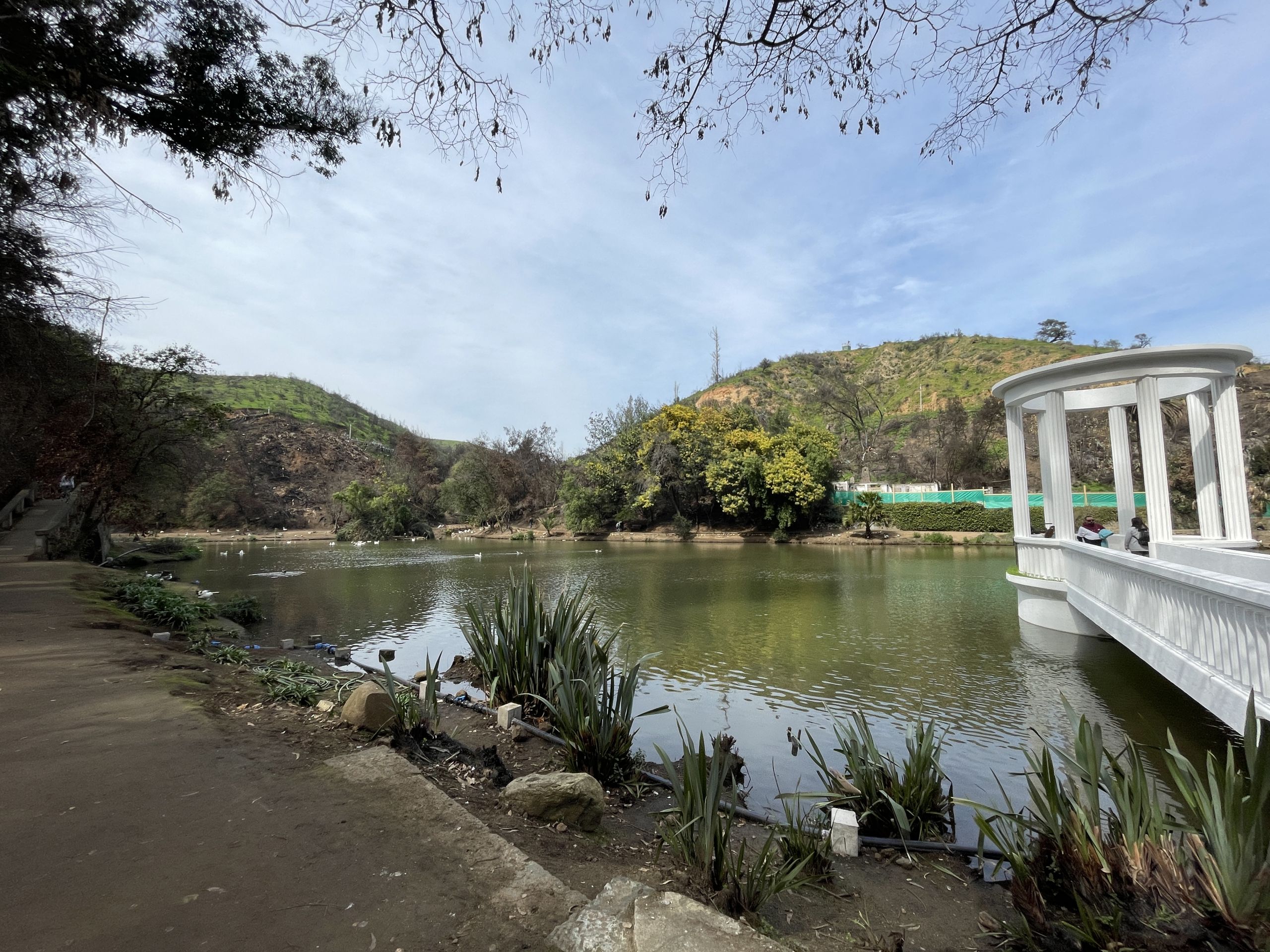 Áreas verdes de Viña del Mar para desconectarse sin salir de la ciudad